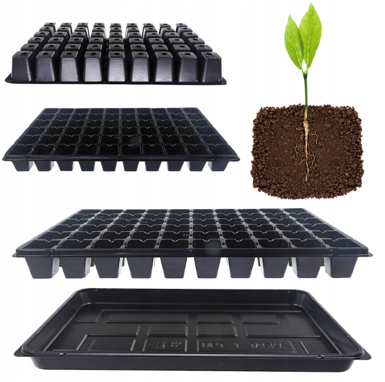 Spirebrett 60 celler i svart plast – 52,5x31,5 cm – slitesterk polystyren for frøsåing og planteoppdrett