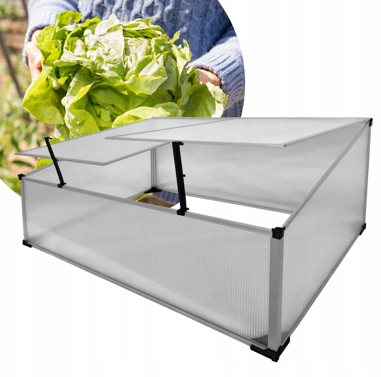 Lettvekts drivhus foran person som holder fersk salat
