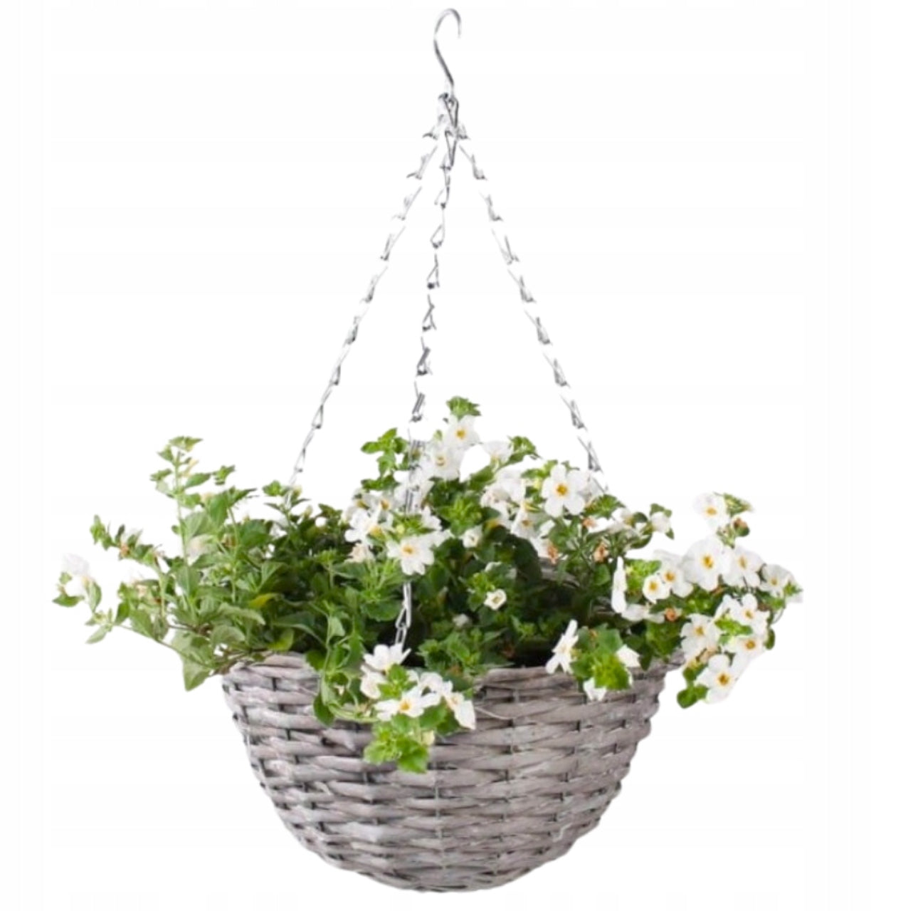 Grå hengende blomsterkurv i rotting med hvite blomster på balkong