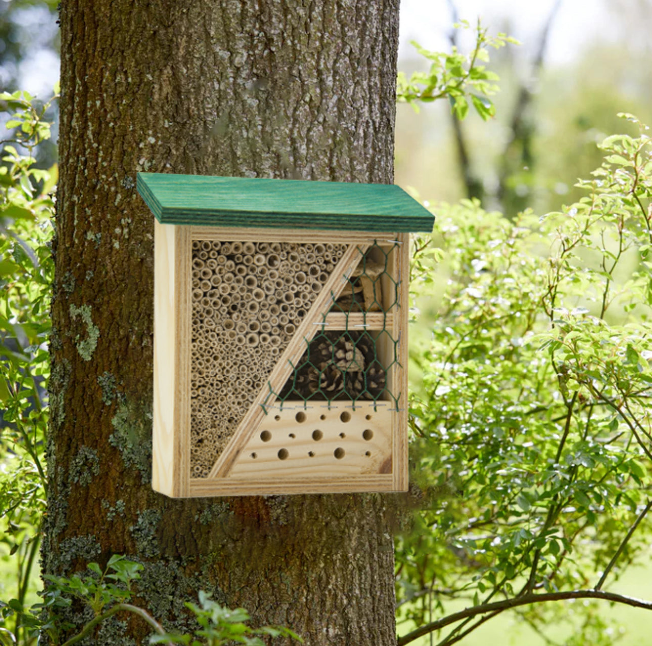Insekthotell montert på trestamme i hage med grønt og naturlig miljø