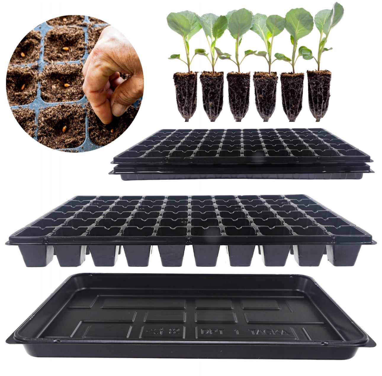 Spirebrett 60 celler i svart plast – 52,5x31,5 cm – slitesterk polystyren for frøsåing og planteoppdrett