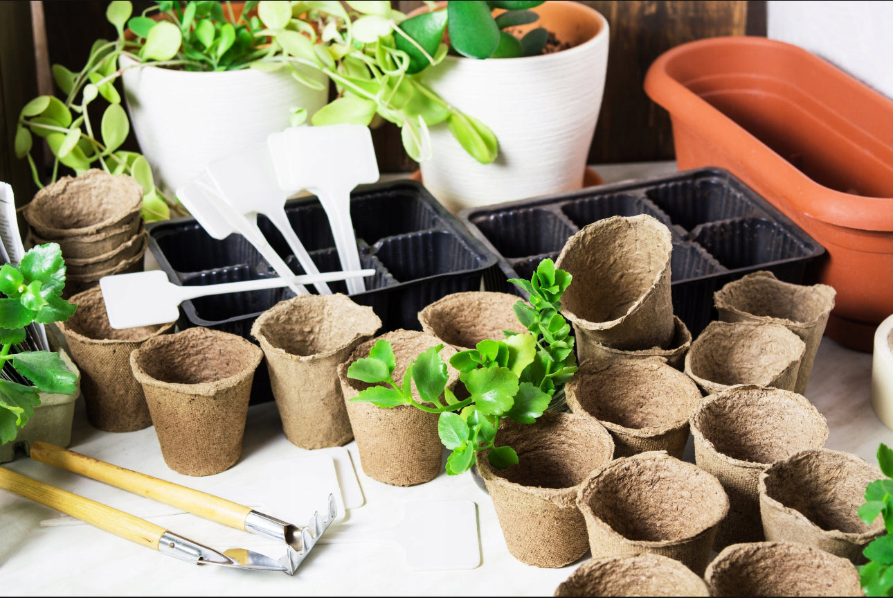 Spirebrett 60 celler i svart plast – 52,5x31,5 cm – slitesterk polystyren for frøsåing og planteoppdrett