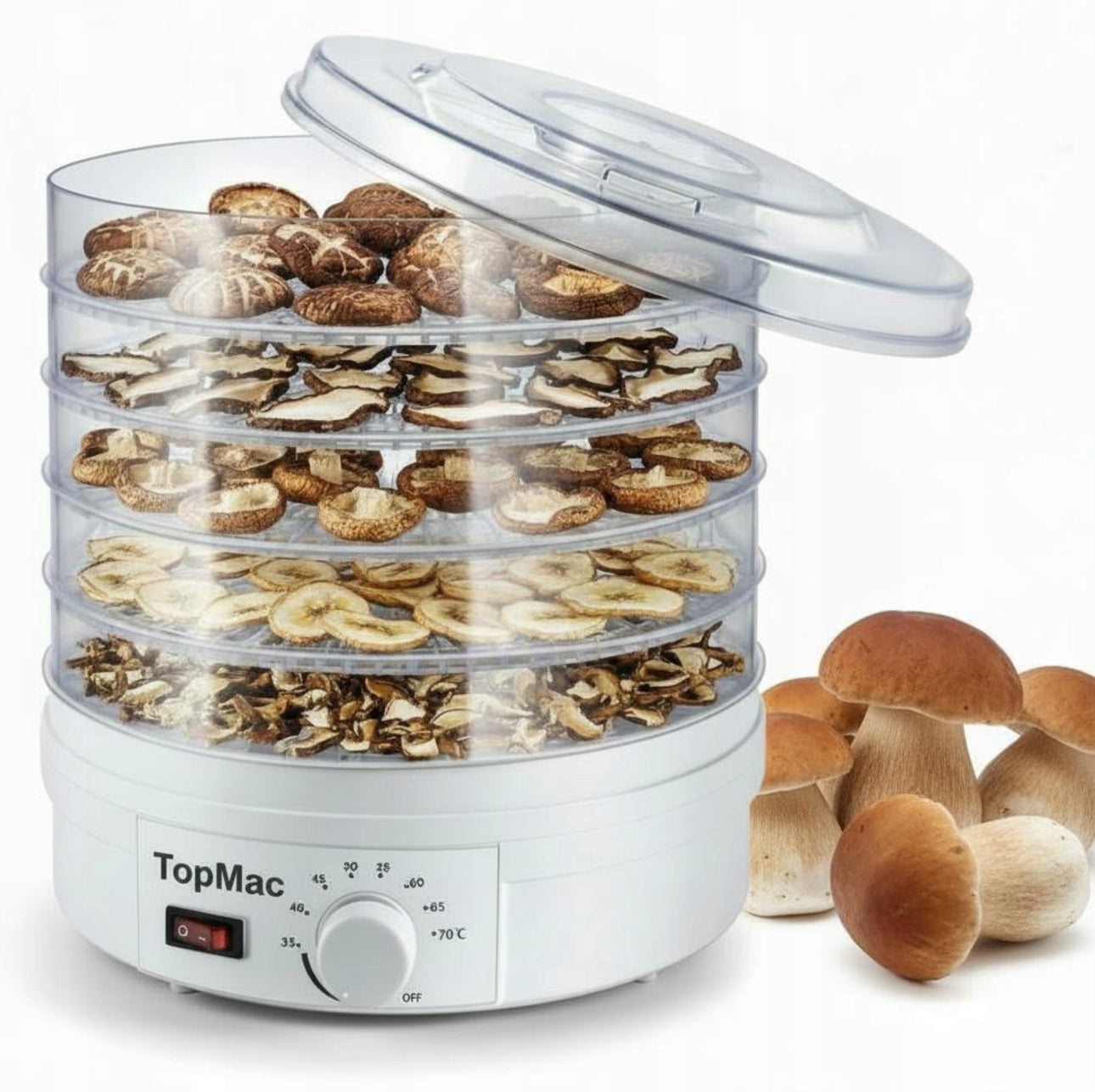 Dehydrator med løftet lokk, fem nivåer med skiver av epler, sopp og banan, lys bakgrunn